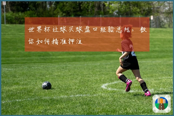 世界杯让球买球盘口经验总结，教你如何精准押注