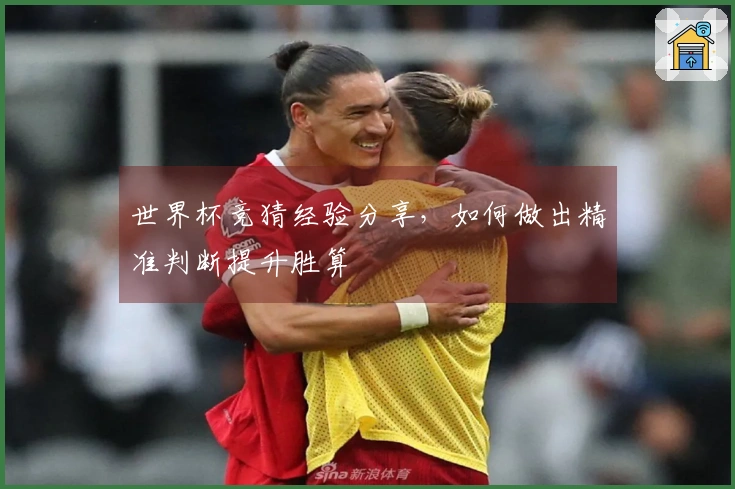 世界杯竞猜经验分享，如何做出精准判断提升胜算