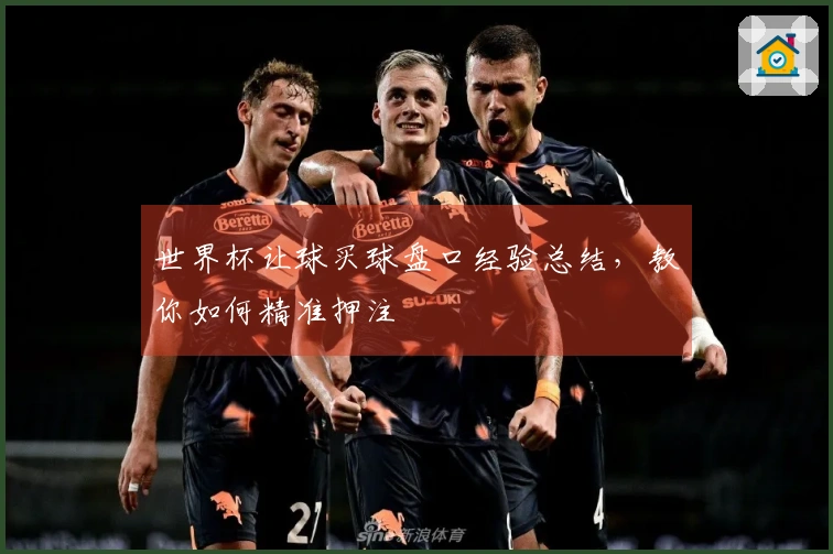 世界杯让球买球盘口经验总结，教你如何精准押注