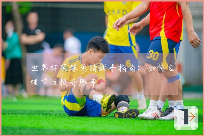 世界杯买球竞猜新手指南：如何合理下注提升胜率